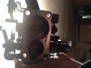 IMG_4360.JPG