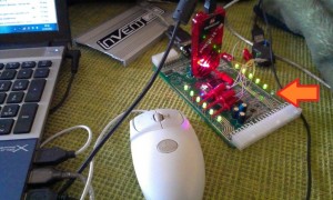 IMAG0125.jpg