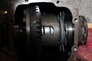 IMG_2214 rr.jpg