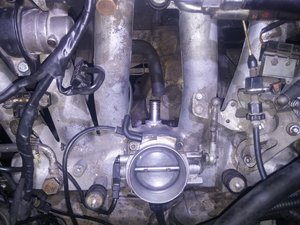 20160614_160518.jpg