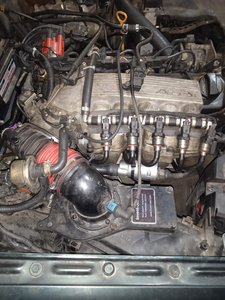 IMG_20210105_183010.jpg