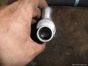P6150002.JPG