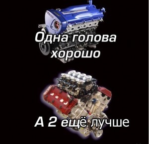 головы.jpg